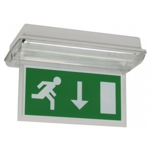 TPX/EX 8W Maintained Low Profile Bulkhead with Exit Sign Blade Attachment IP20